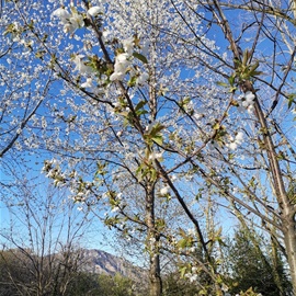 24 marzo 2024: lungo il sentiero